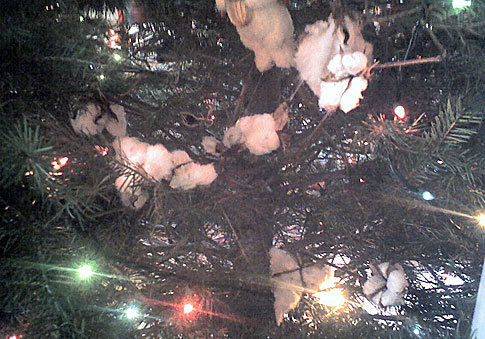 Cotton on Christmas Tree