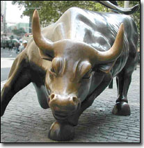 Wall Street Bull in NYC