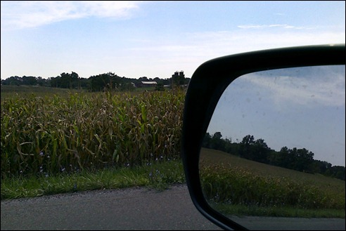 corncrop120905