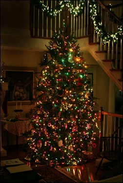 christmastree2012