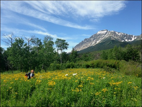 TaylorGlacierNatParkMT_1407