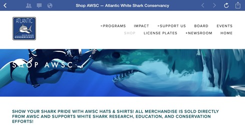 atlanticwhitesharkconservancy