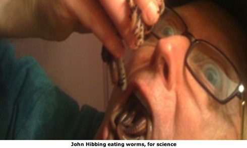 hibbing_eating_worms