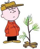 charliebrownchristmastree