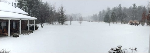 SnowingWheresPool150222