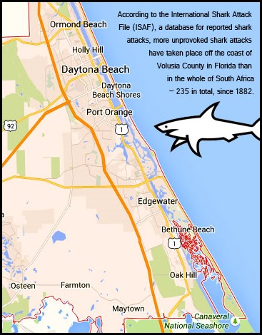 VolusiaCounty-FL_Sharks