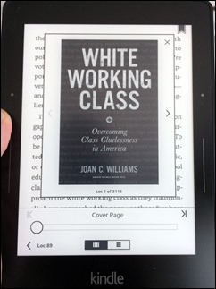 WhiteWorkingClass_JoanCWilliams170516