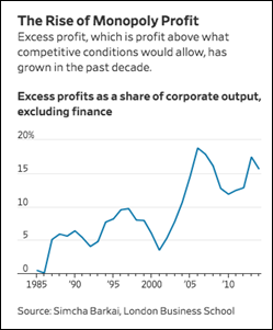 TheRiseOfMonopolyProfits