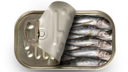 sardines