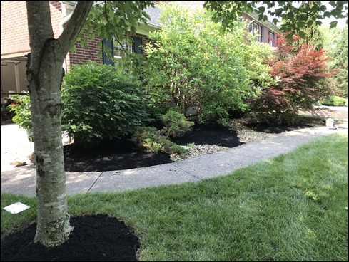 MulchFront2019