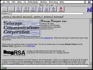 NetscapeScreenshot