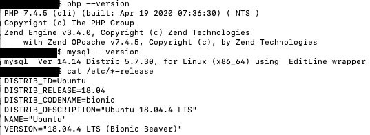 BionicBeaverInstall200511