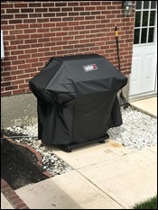 NewWeberGrillCovered200617