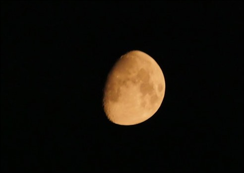 Moon210719