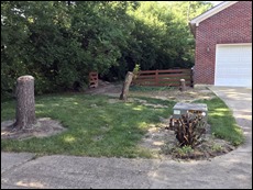 DrivewayProjectClearing2106