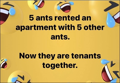 AntsTenants