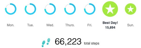 FitBitSteps220516