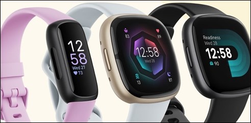 FitbitOfferings2022
