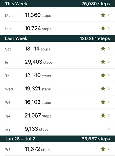 FitbitFirstWeekJuly2022