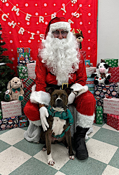 Gigi and Santa