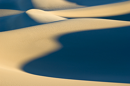 Dunes Abstract