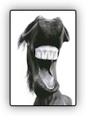 Horse's Mouth Logo